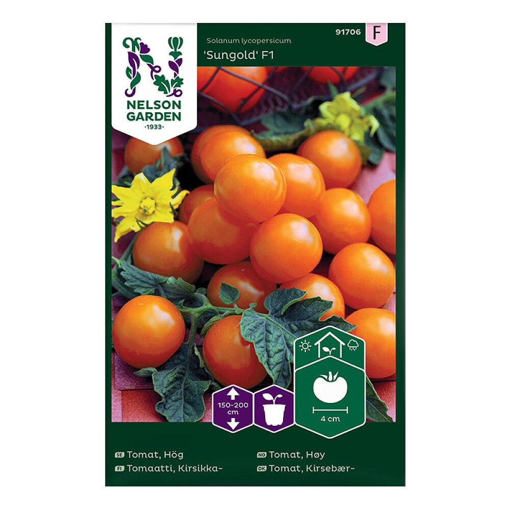 Kirsstomat Sungold F1