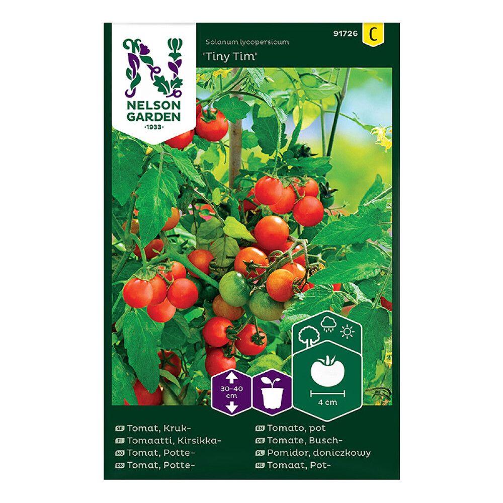 Tomat Tiny Tim