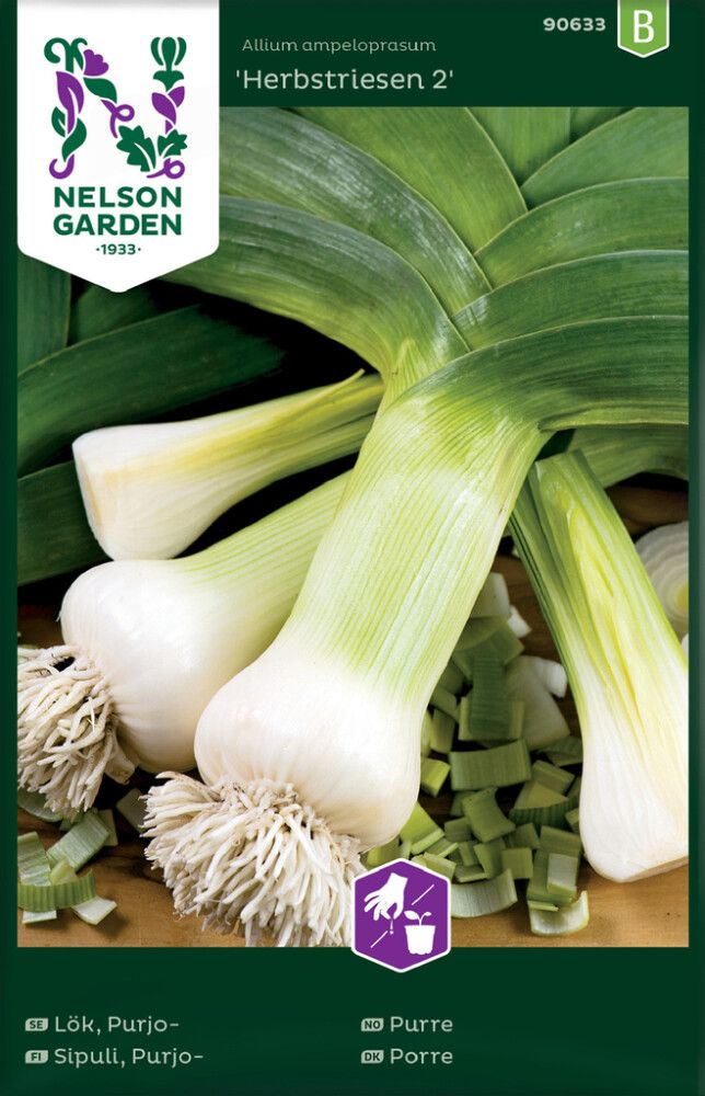 Porrulauk Herbstriesen 2