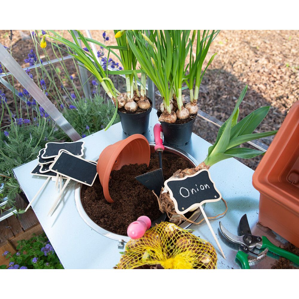 Kasvuhoone Palram-Canopia Balance 14,8 m², hõbedane