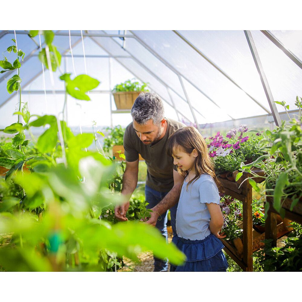 Kasvuhoone Palram-Canopia Balance 28,7 m², hõbedane