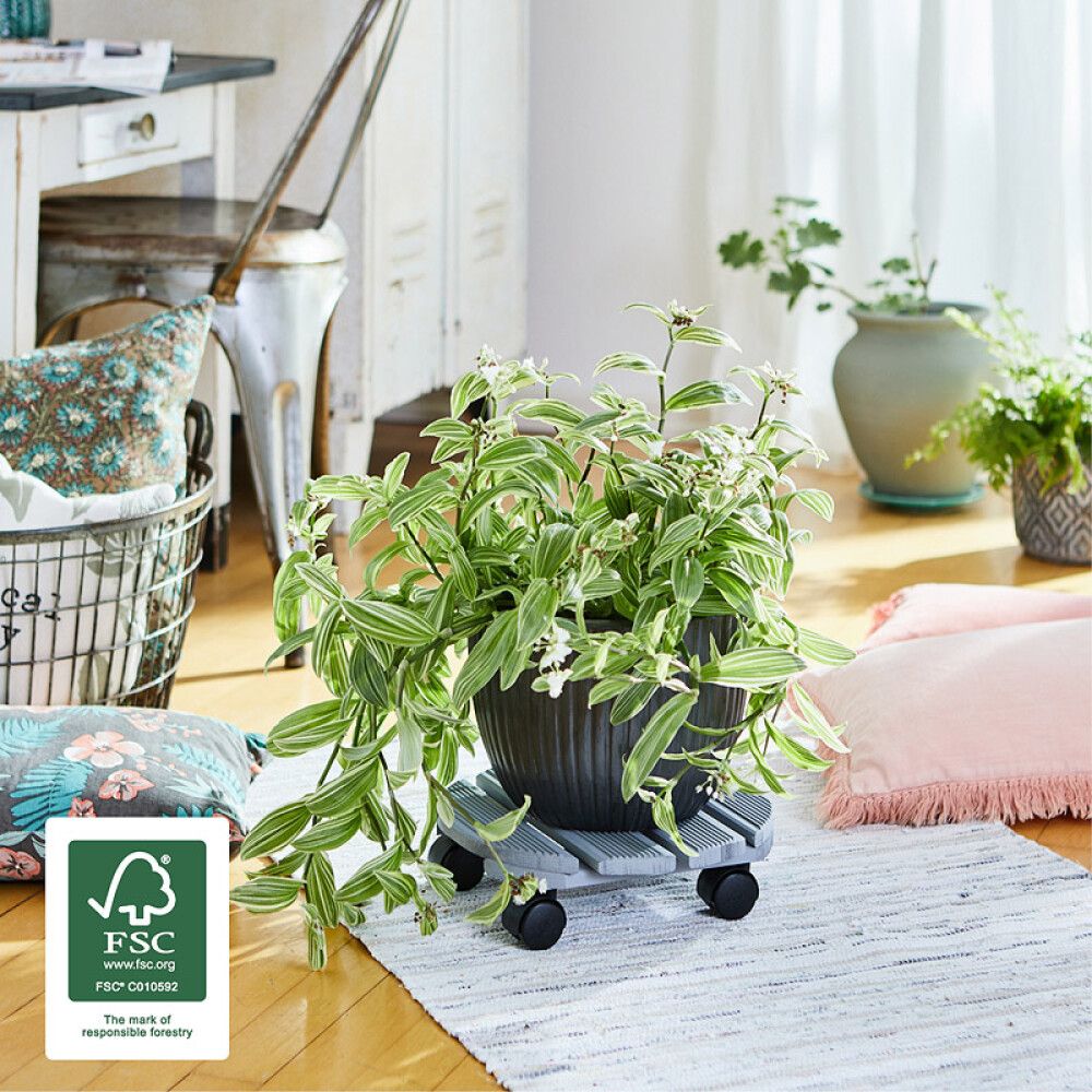 Lillepoti alus Creo 29 cm, pöök