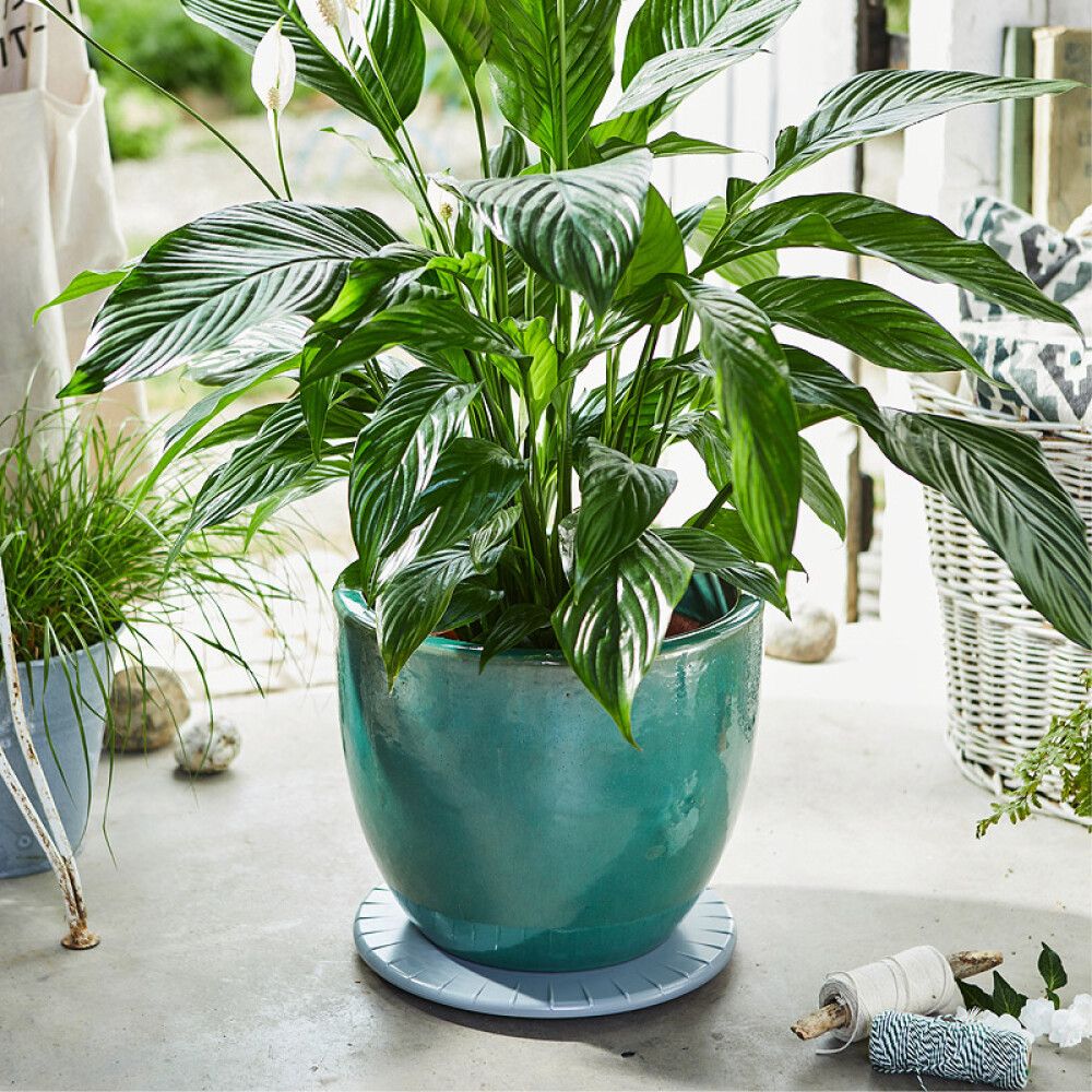 Lillepoti alus Ultraflat 30 cm, hõbedane