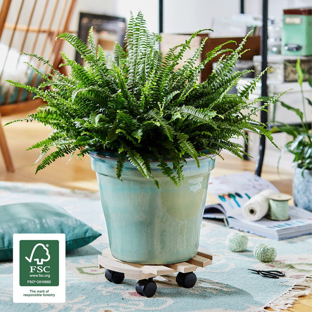 Lillepoti alus 30 cm, pöök