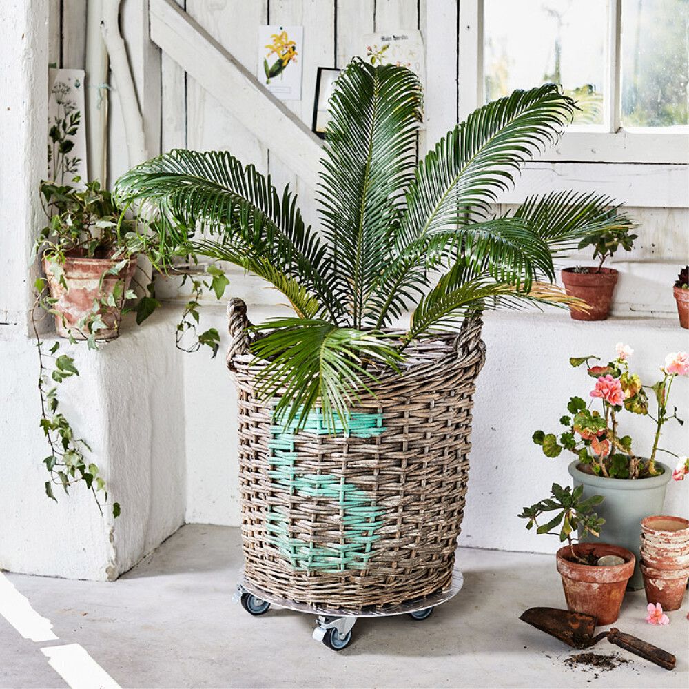 Lillepoti alus Alaska 38 cm