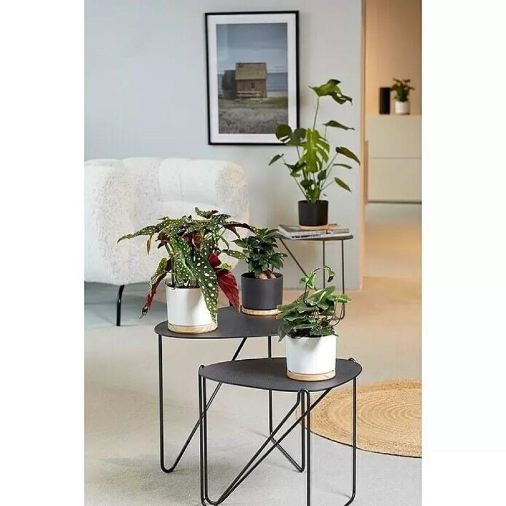 Ümbrispott Oslo Ø 13, antratsiit