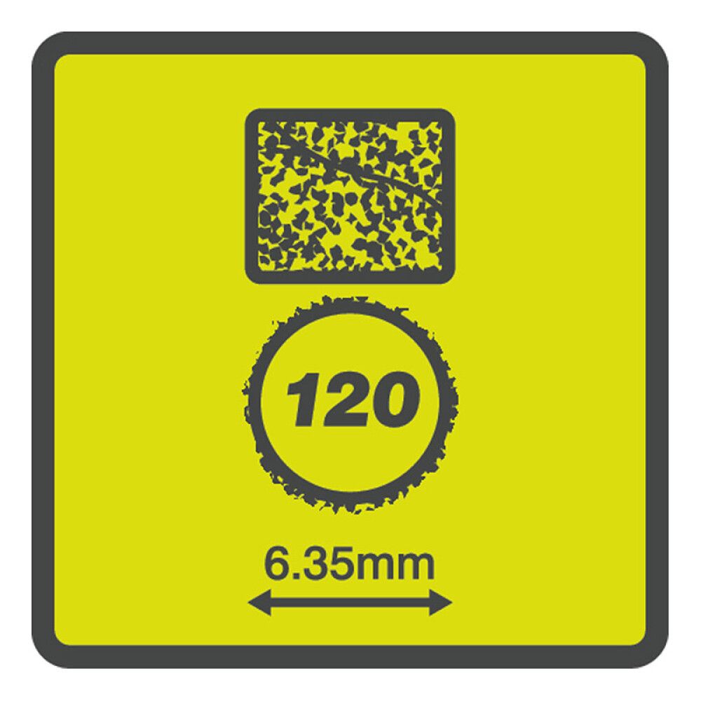 Lihvlintide komplekt Ryobi RAR601-10 K120 10 tk