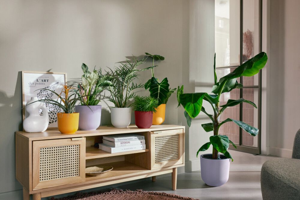 Ümbrispott Elho Jazz Ø 23 cm, valge