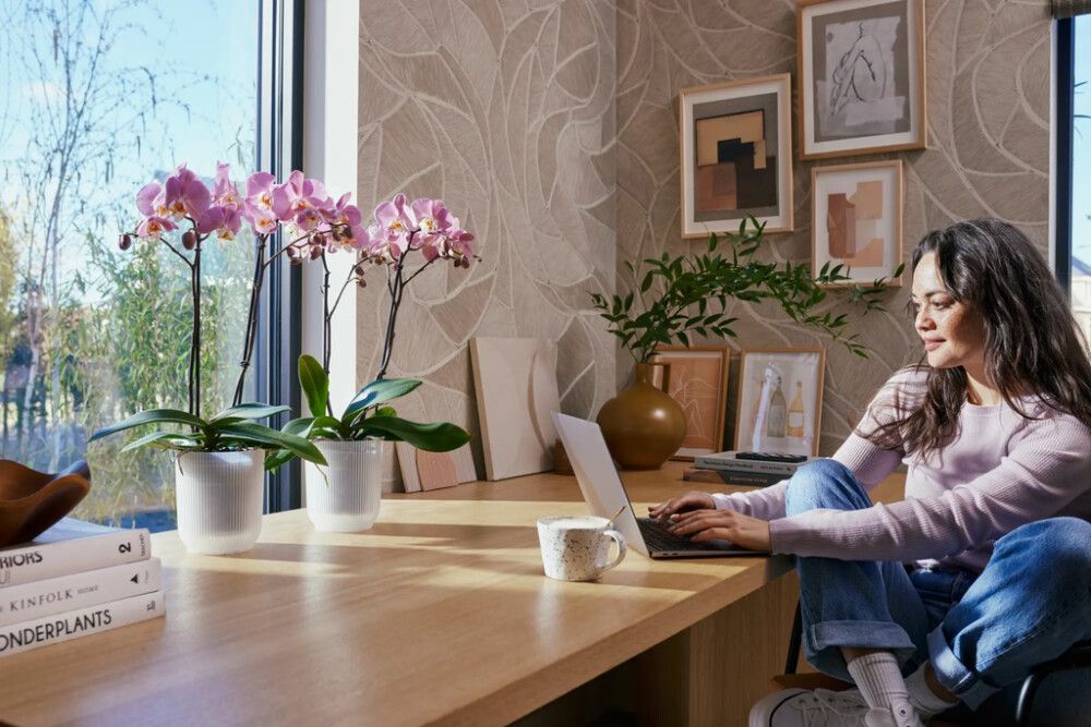 Orhidee ümbrispott Elho Vibes Fold Ø 12,5 cm, läbipaistev