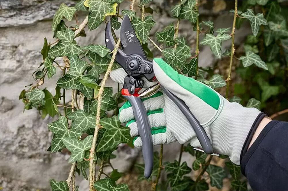 Aiakäärid Premium Premium Classic GDB21