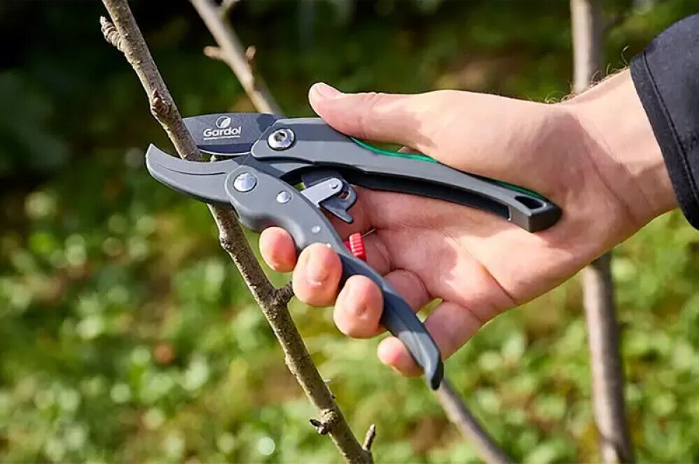 Oksakäärid Gardol Premium GDA20R