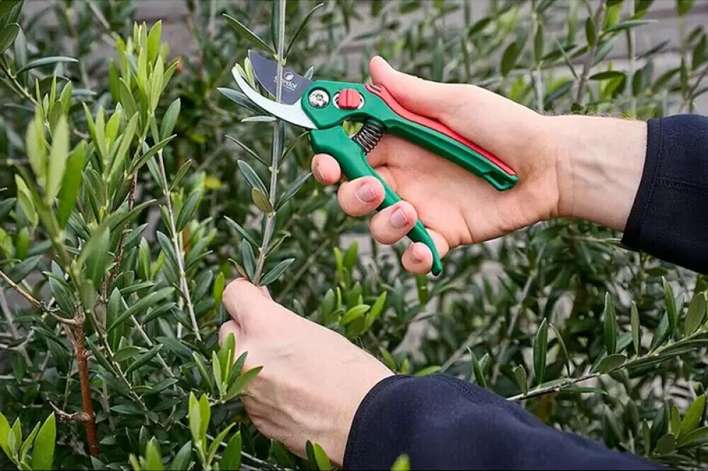 AIAKÄÄRID GARDOL CLASSIC GDB16