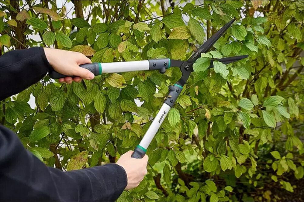 Hekikäärid Gardol Comfort GDH65