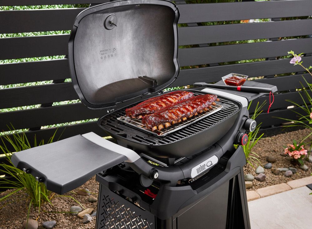 GAASIGRILL WEBER Q2800N+ RAAMIL