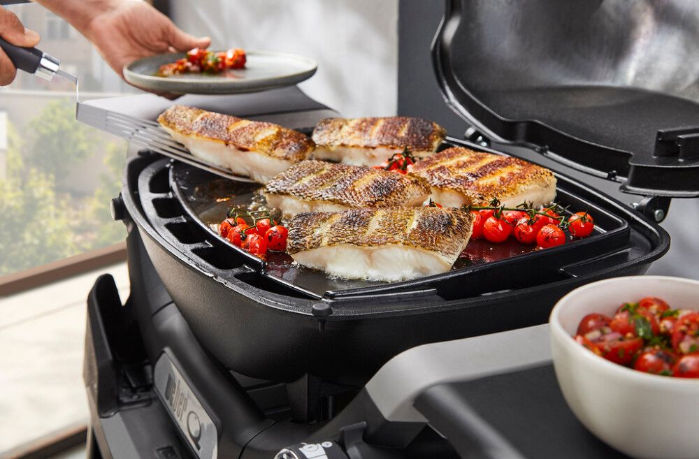 Grillrest Weber Q1100N/Q1200N gaasigrillile