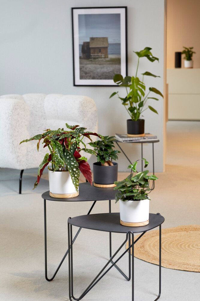 Ümbrispott Soendgen Oslo Ø 13, valge