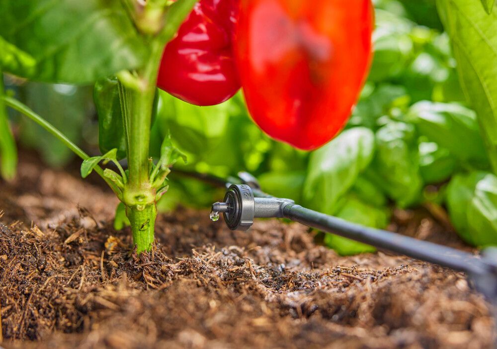 Tilkkastmise komplekt Gardena Aquabloom L