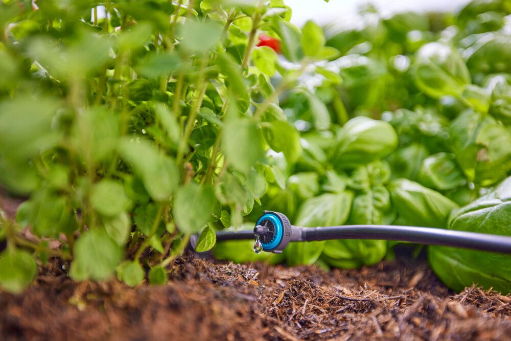 Tilkkastmise komplekt Gardena Aquabloom L