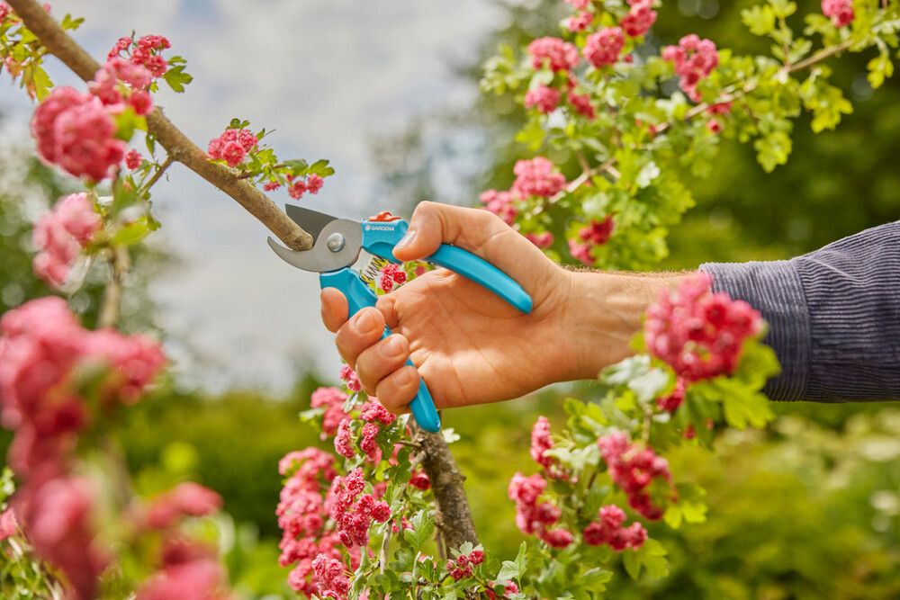 Oksasaag Gardena Easycut