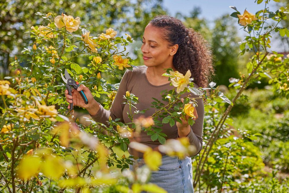 OKSAKÄÄRID GARDENA PREMIUMCUT FLEX