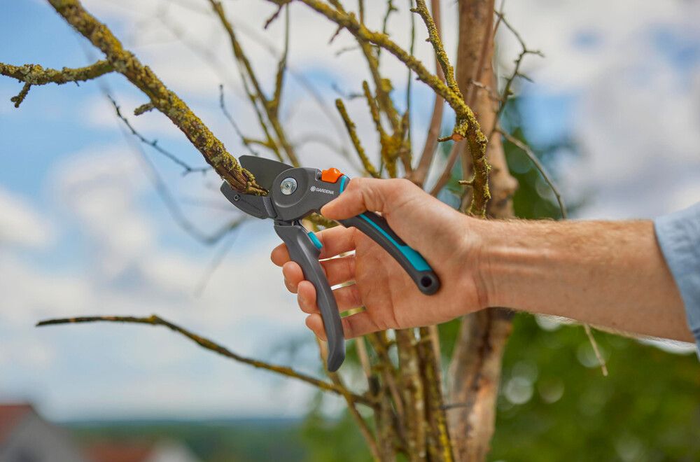 Oksakäärid Garden PremiumCut Pro