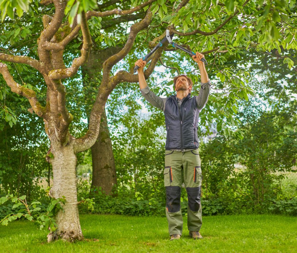 OKSATANGID GARDENA ENERGYCUT PRO S