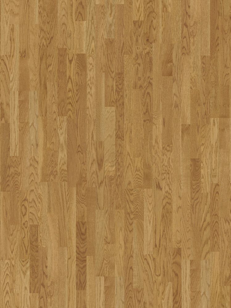 Parkett Parador Basic 11-5 tamm Malbec natural 3S