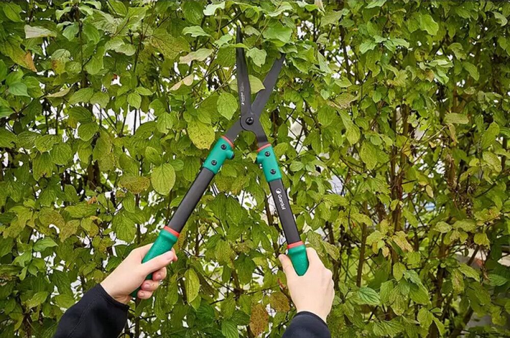 Hekikäärid Gardol Classic GDH61