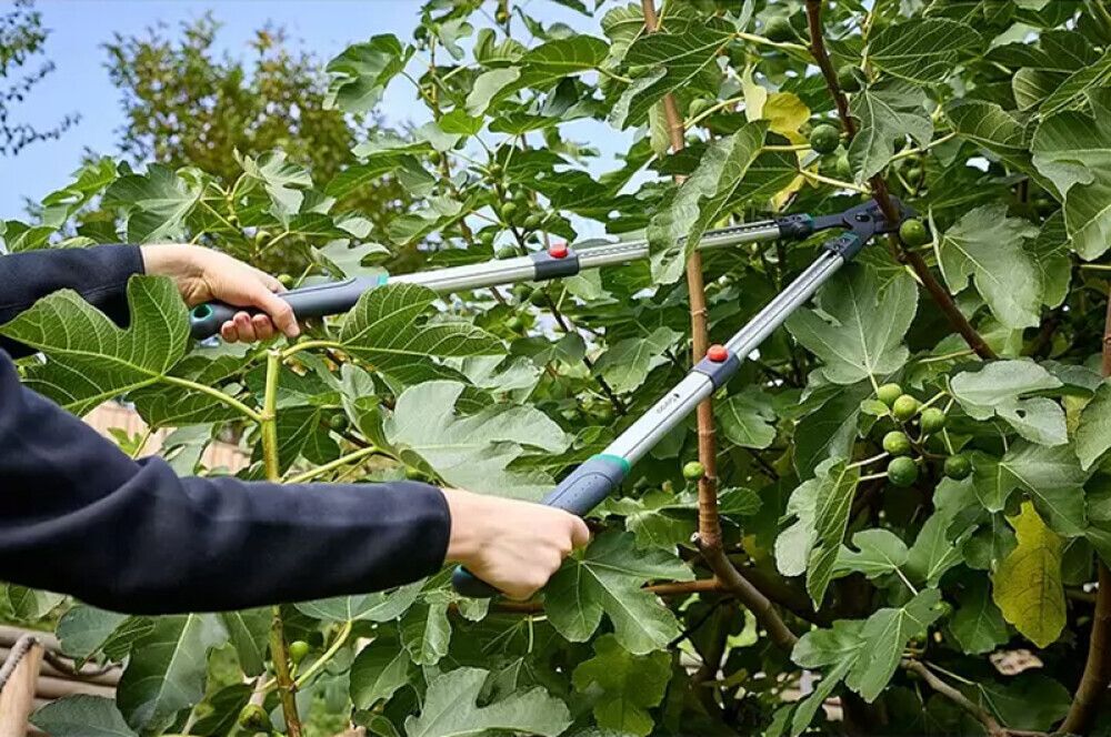 Oksakäärid Gardol Premium GDB37 teleskoopvarrega