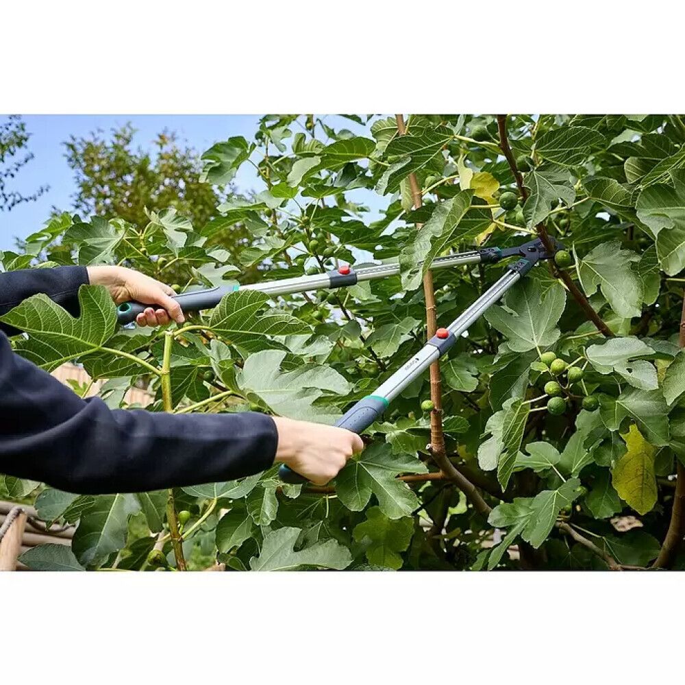 Oksakäärid Gardol Premium GDB37 teleskoopvarrega