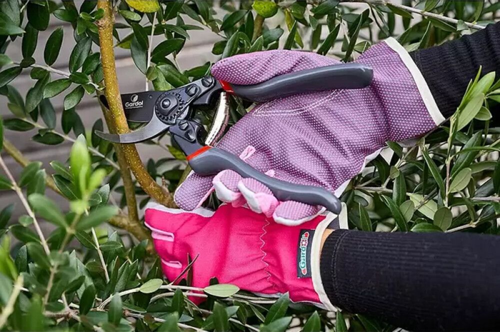 Aiakäärid Gardol Premium GDB23