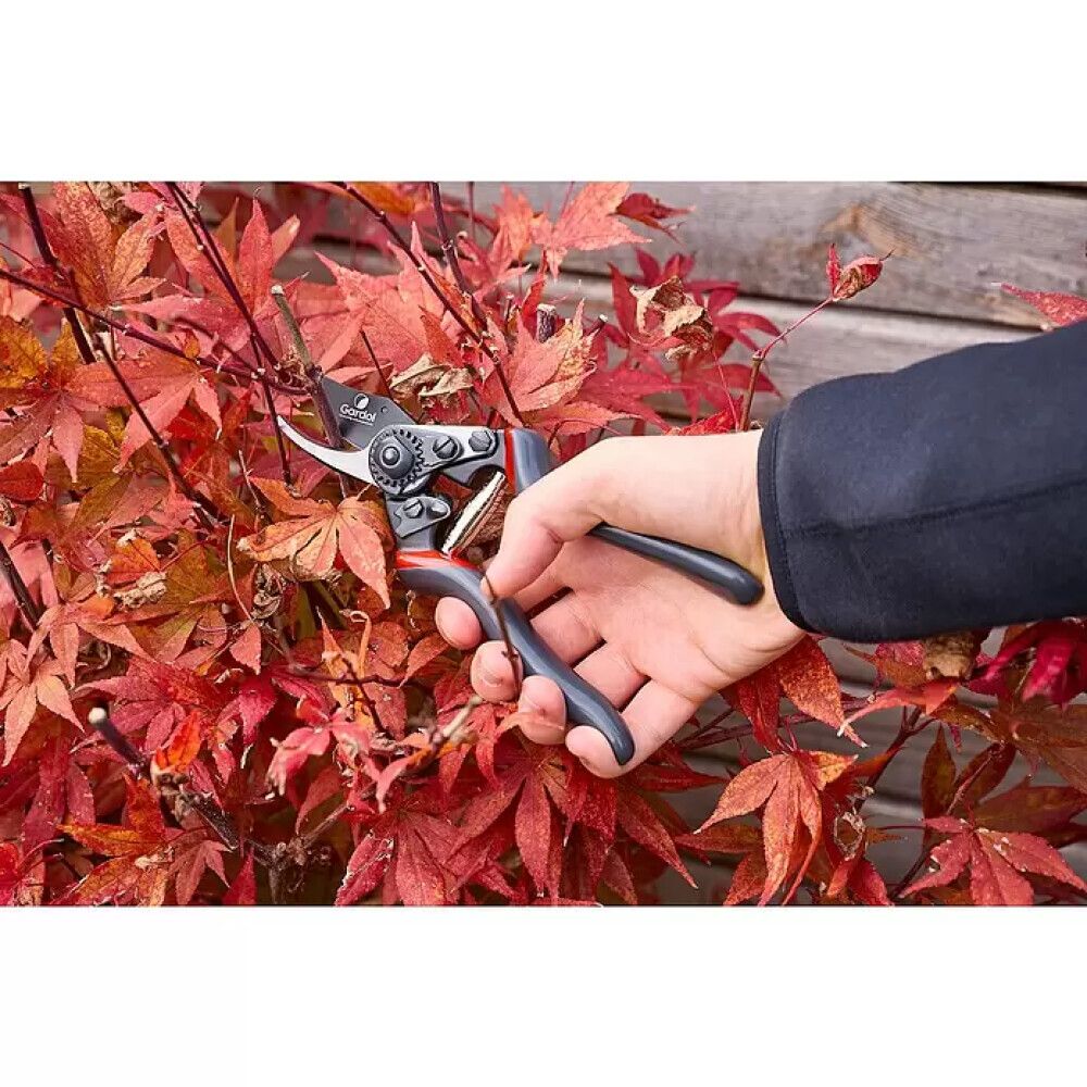 Aiakäärid Gardol Premium GDB23