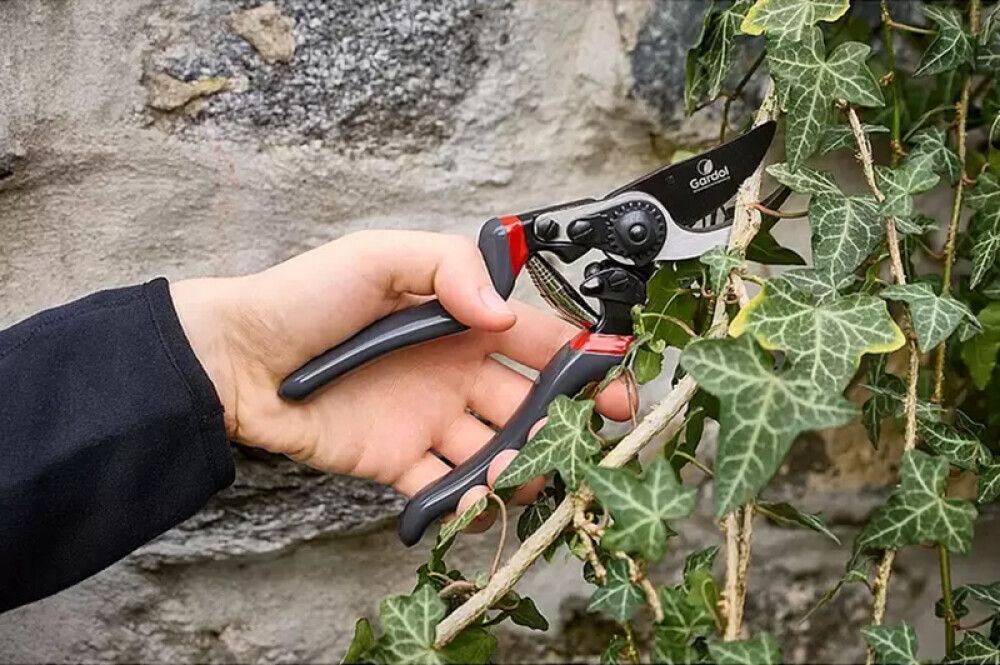 Oksakäärid  Gardol Premium GDB23L