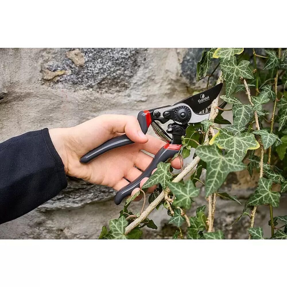 Oksakäärid  Gardol Premium GDB23L