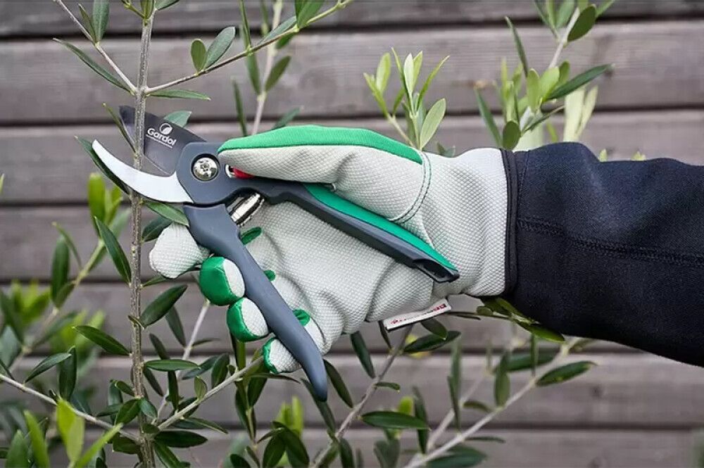 Aiakäärid Gardol Comfort GDB18