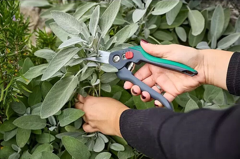 Aiakäärid Gardol Comfort GDB12