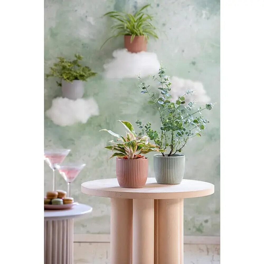 Ümbrispott Soendgen Belice 21 cm, valge