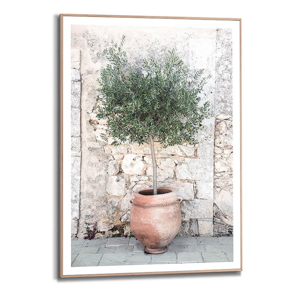 Sisustuspilt Reinders Olive Tree 50 x 70 cm