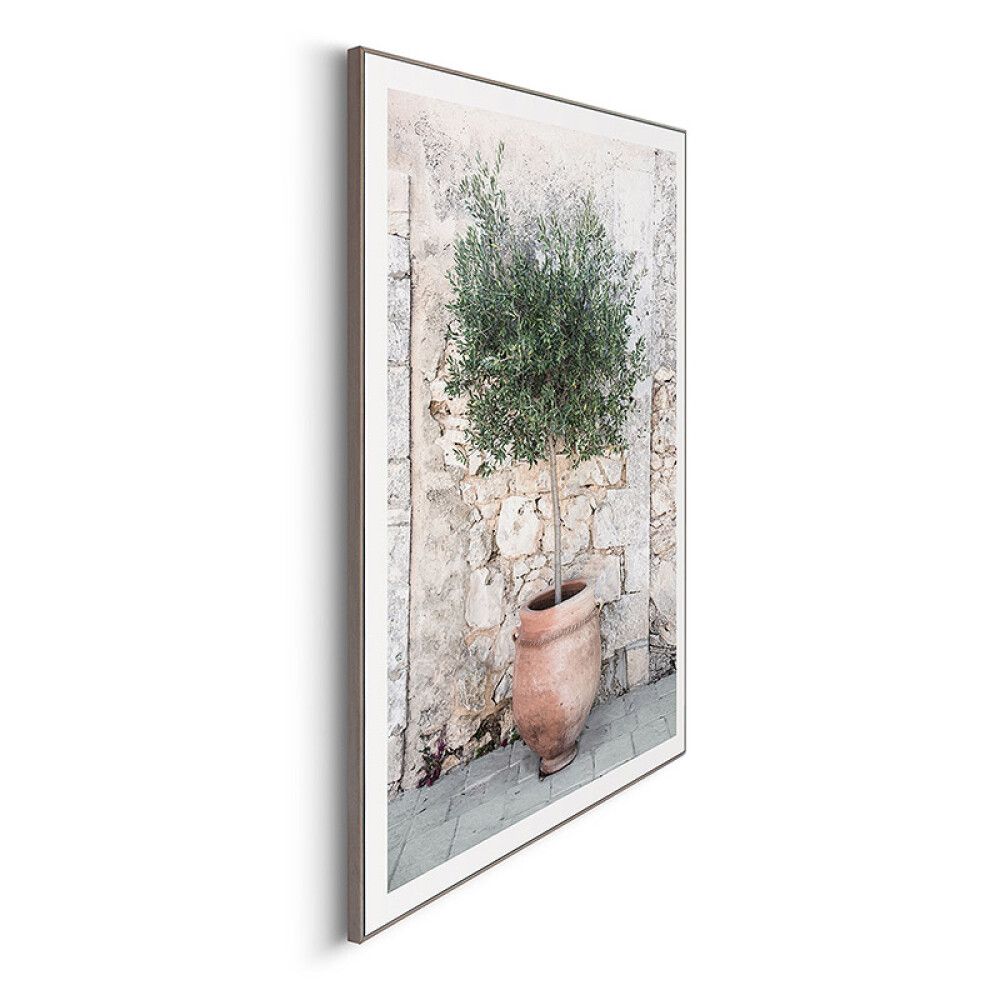 Sisustuspilt Reinders Olive Tree 50 x 70 cm
