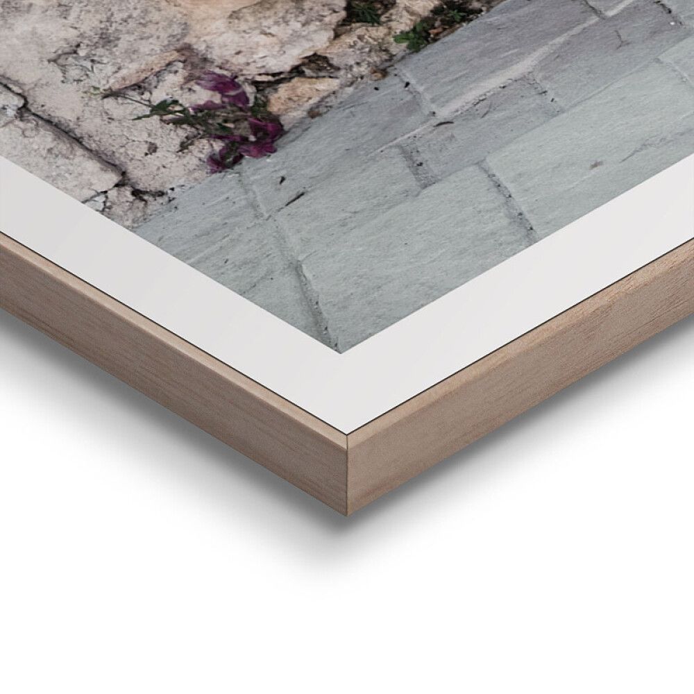 Sisustuspilt Reinders Olive Tree 50 x 70 cm