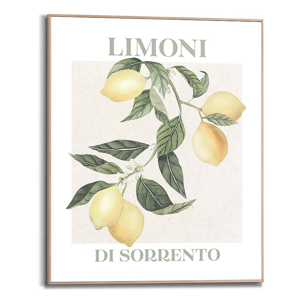 Sisustuspilt Reinders Limoni 40 x 50 cm
