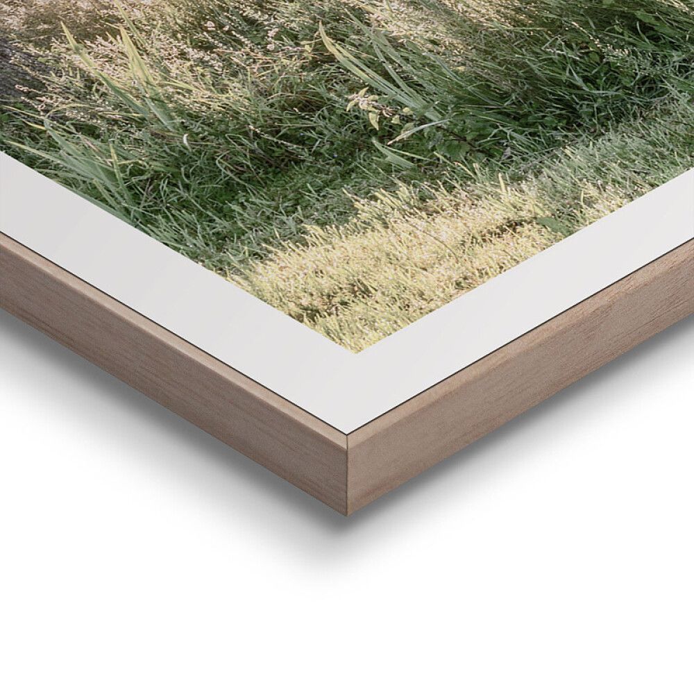 Sisustuspilt Reinders Rise and Shine 50 x 50 cm