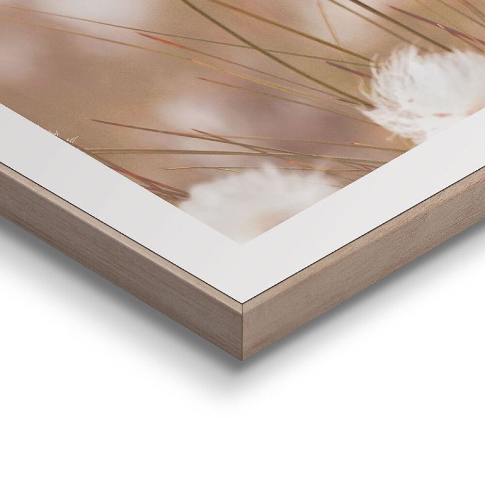 Sisustuspilt Reinders Cotton Pops 30 x 40 cm