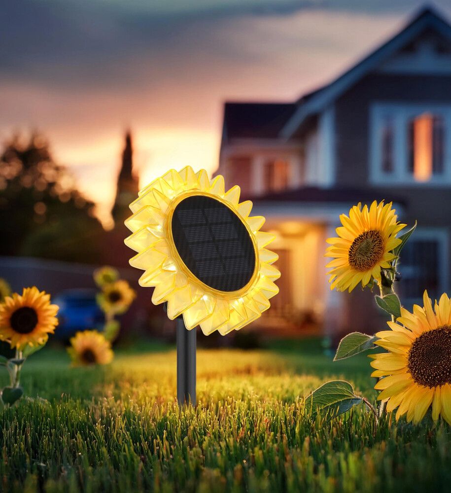 Solarvalgusti Globo Päevalill