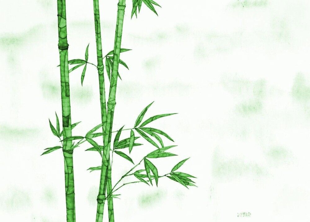 Liimpuitplaat Bambus 18 mm 400 x 800 mm