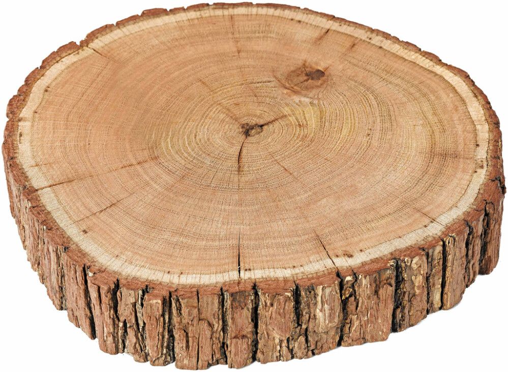 Puidust plaat tamm 20 - 30 cm