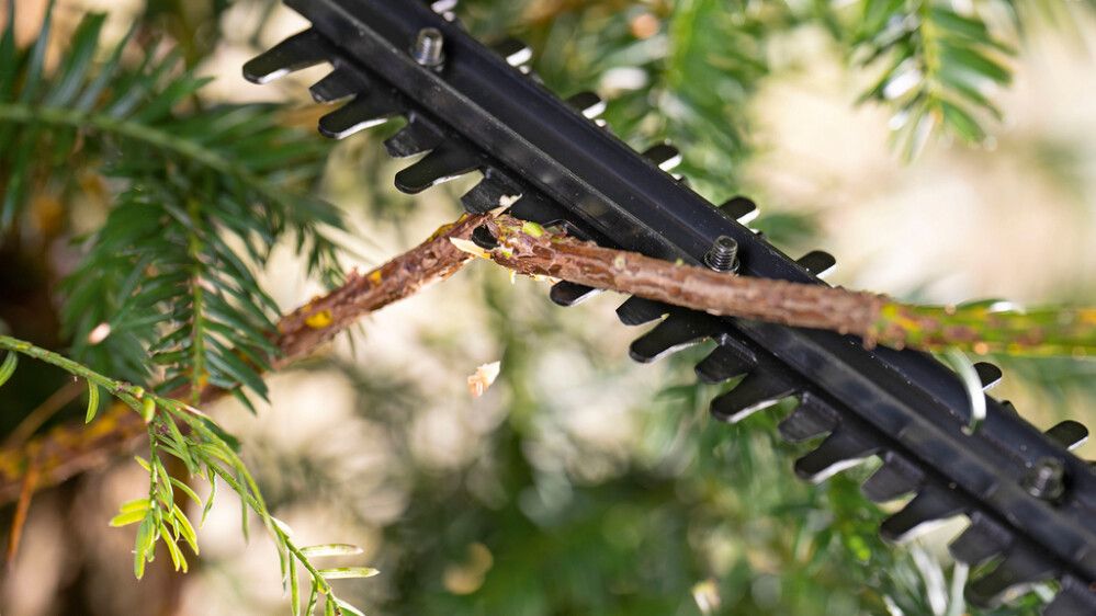 Akuhekilõikur Bosch EasyHedgeCut 18V 44-11 2Ah