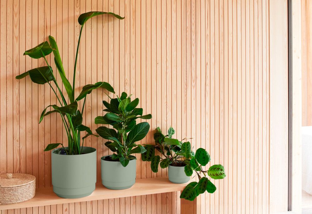 Lillepott Orthex Pauliina Ø 14 cm, oliiviroheline