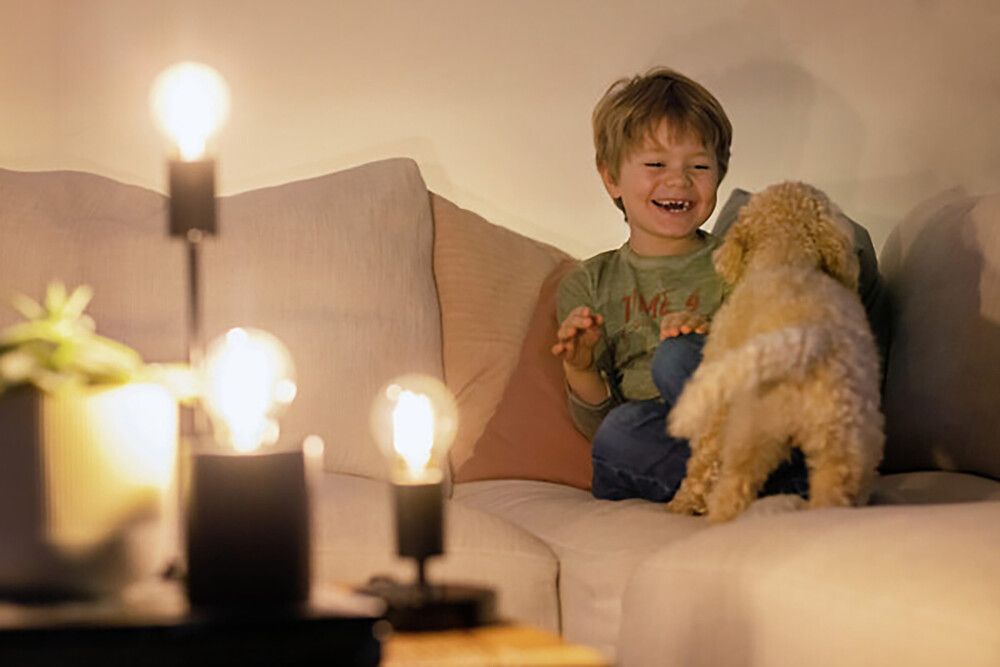 LED-lamp Airam Smart Globe 95 5 ,5 W E 27, kuldpruun