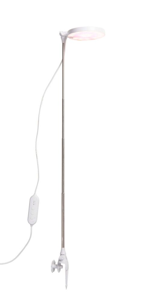 LED-taimevalgusti Airam Rose